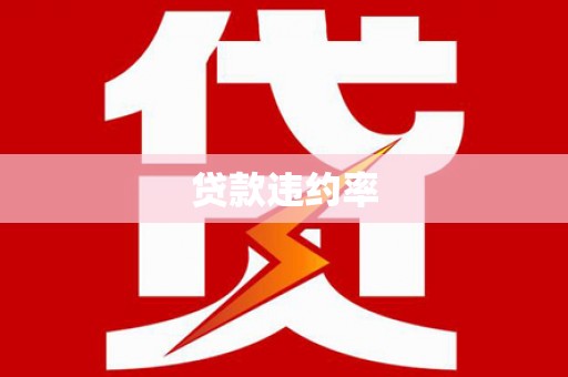 宛城贷款违约率