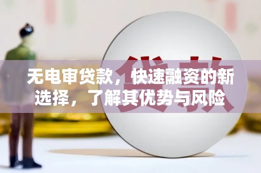 宛城无电审贷款，快速融资的新选择，了解其优势与风险