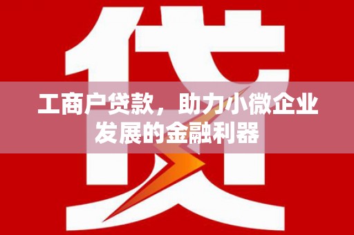 宛城工商户贷款，助力小微企业发展的金融利器