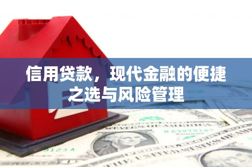 宛城信用贷款，现代金融的便捷之选与风险管理