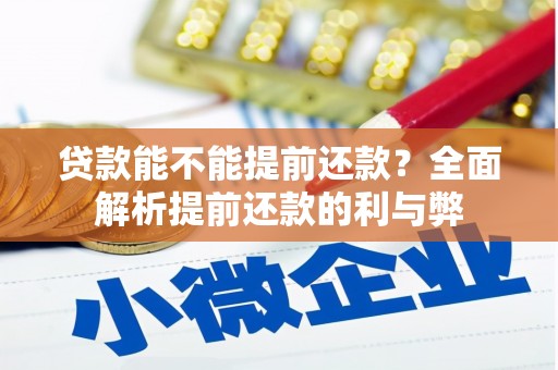 宛城贷款能不能提前还款？全面解析提前还款的利与弊