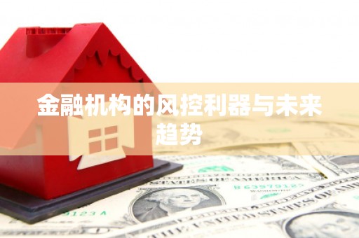 宛城金融机构的风控利器与未来趋势