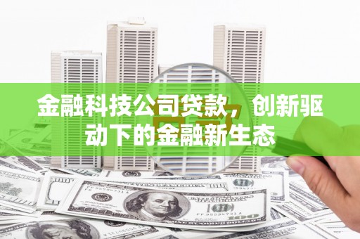 宛城金融科技公司贷款，创新驱动下的金融新生态