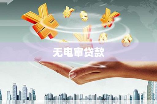 宛城无电审贷款