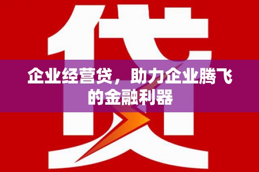 宛城企业经营贷，助力企业腾飞的金融利器