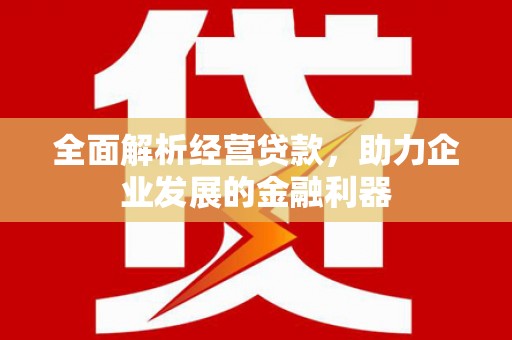 宛城全面解析经营贷款，助力企业发展的金融利器