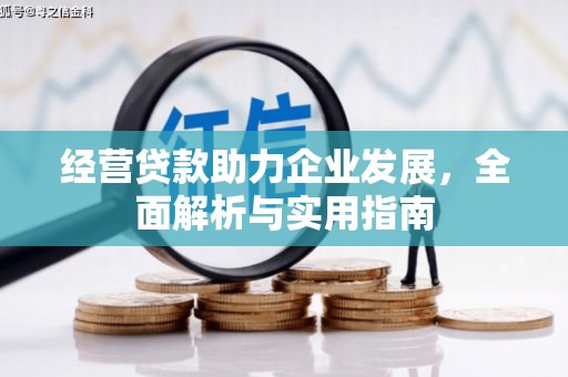宛城经营贷款助力企业发展，全面解析与实用指南