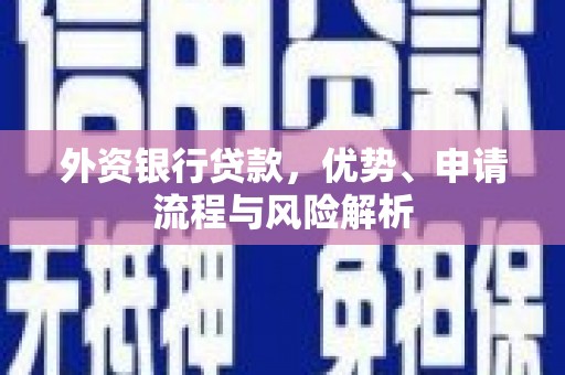 宛城外资银行贷款，优势、申请流程与风险解析