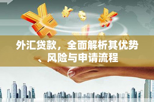 宛城外汇贷款，全面解析其优势、风险与申请流程