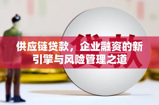 宛城供应链贷款，企业融资的新引擎与风险管理之道