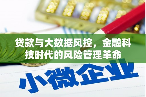 宛城贷款与大数据风控，金融科技时代的风险管理革命