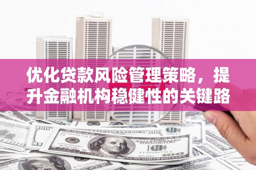宛城优化贷款风险管理策略，提升金融机构稳健性的关键路径