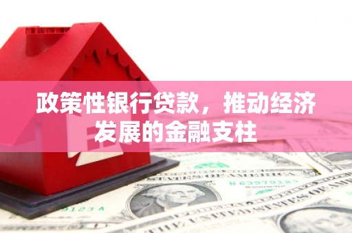 宛城政策性银行贷款，推动经济发展的金融支柱
