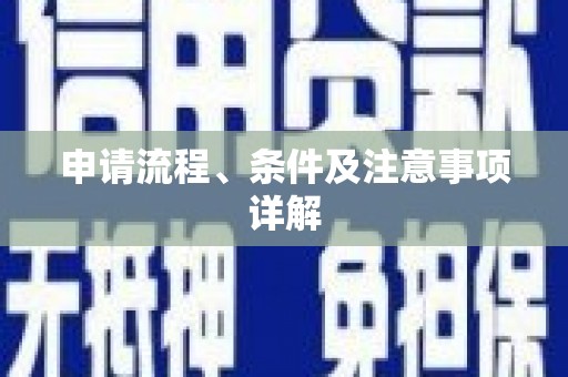 宛城申请流程、条件及注意事项详解