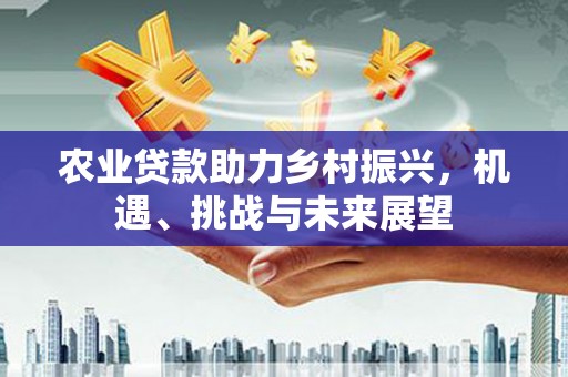宛城农业贷款助力乡村振兴，机遇、挑战与未来展望