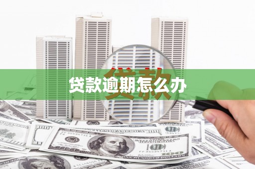 宛城贷款逾期怎么办