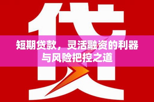 宛城短期贷款，灵活融资的利器与风险把控之道
