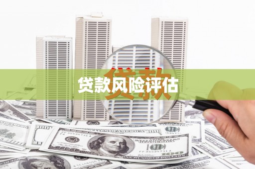 宛城贷款风险评估
