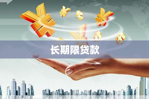 宛城长期限贷款