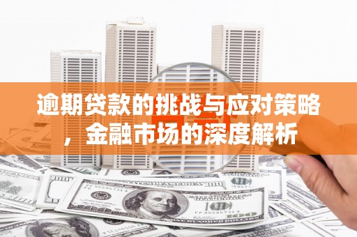 宛城逾期贷款的挑战与应对策略，金融市场的深度解析