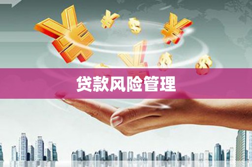 宛城贷款风险管理