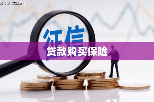 宛城贷款购买保险