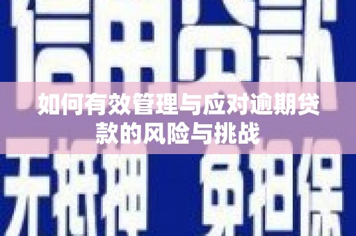 宛城如何有效管理与应对逾期贷款的风险与挑战