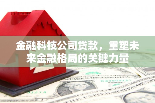 宛城金融科技公司贷款，重塑未来金融格局的关键力量