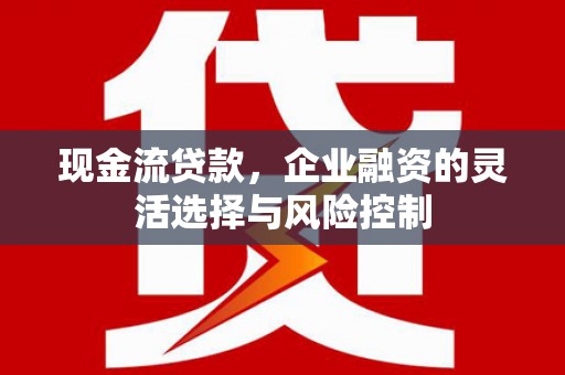宛城现金流贷款，企业融资的灵活选择与风险控制