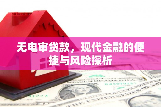 宛城无电审贷款，现代金融的便捷与风险探析