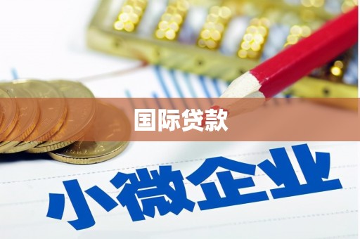 宛城国际贷款