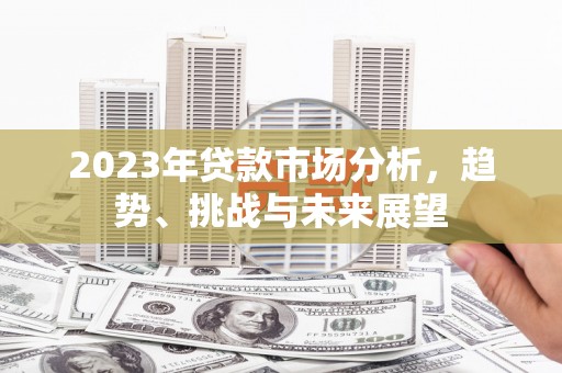 宛城2023年贷款市场分析，趋势、挑战与未来展望