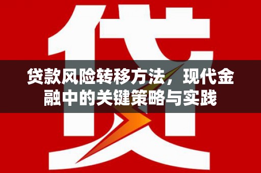 宛城贷款风险转移方法，现代金融中的关键策略与实践