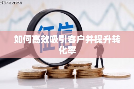 宛城如何高效吸引客户并提升转化率