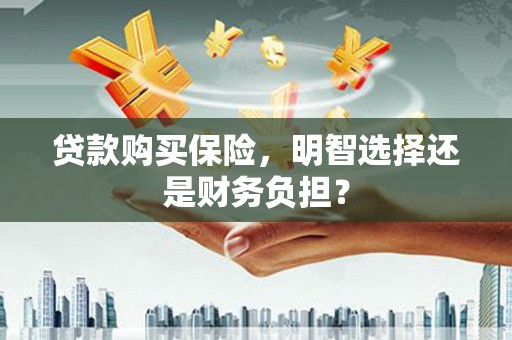 宛城贷款购买保险，明智选择还是财务负担？