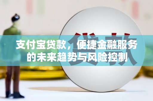 宛城支付宝贷款，便捷金融服务的未来趋势与风险控制