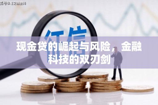 宛城现金贷的崛起与风险，金融科技的双刃剑