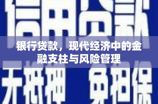 宛城银行贷款，现代经济中的金融支柱与风险管理