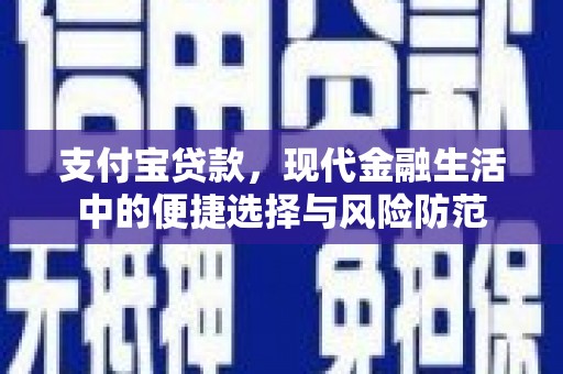宛城支付宝贷款，现代金融生活中的便捷选择与风险防范