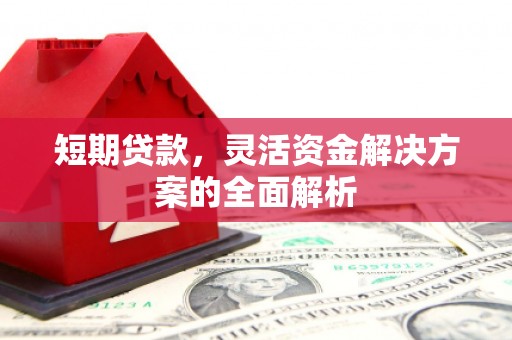 宛城短期贷款，灵活资金解决方案的全面解析