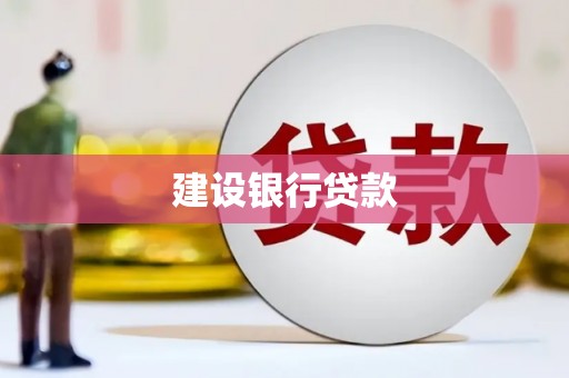 宛城建设银行贷款