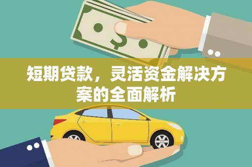 宛城短期贷款，灵活资金解决方案的全面解析