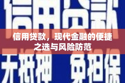 宛城信用贷款，现代金融的便捷之选与风险防范