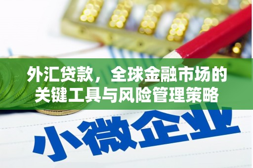 宛城外汇贷款，全球金融市场的关键工具与风险管理策略