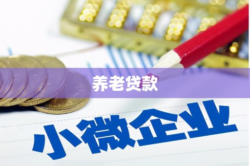 宛城养老贷款