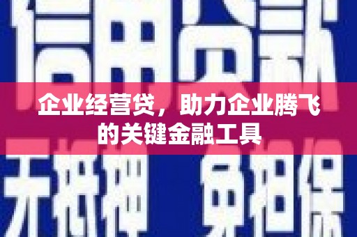 宛城企业经营贷，助力企业腾飞的关键金融工具