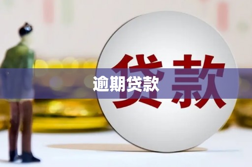 宛城逾期贷款