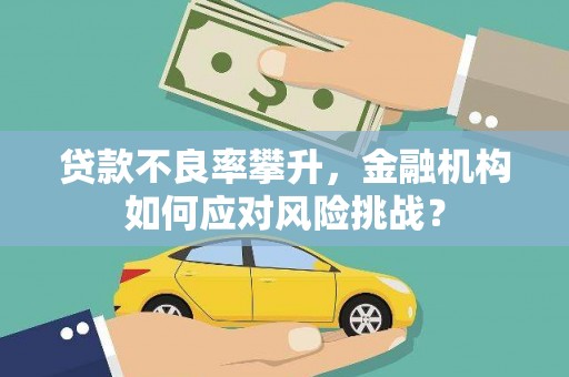 宛城贷款不良率攀升，金融机构如何应对风险挑战？
