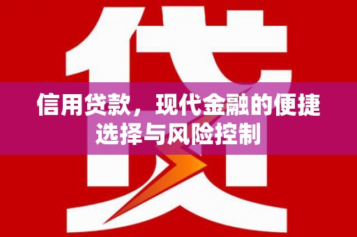 宛城信用贷款，现代金融的便捷选择与风险控制
