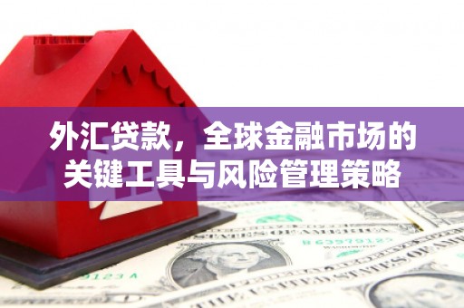 宛城外汇贷款，全球金融市场的关键工具与风险管理策略